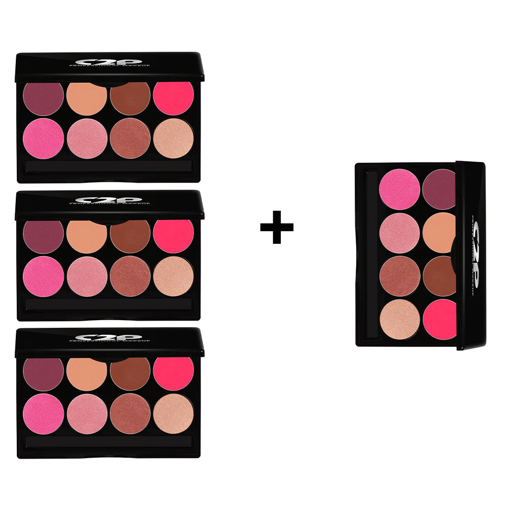 C2P BASIC KIT BLUSHER (3 Plus 1)